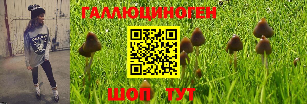 Галлюциногенные грибы мухоморы Великий Новгород